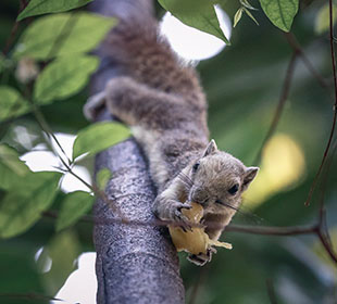 在线DDOS攻击平台